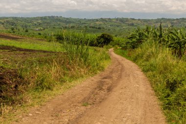 Fort Portal, Uganda yakınlarındaki krater göl bölgesinde kırsal yol.