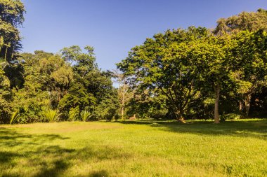 Entebbe Botanik Bahçeleri, Uganda