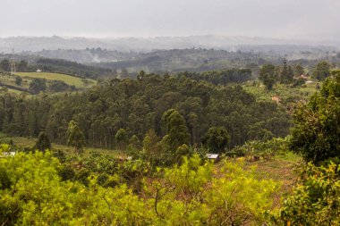 Fort Portal, Uganda yakınlarındaki krater göl bölgesinin verimli kırsal manzarası