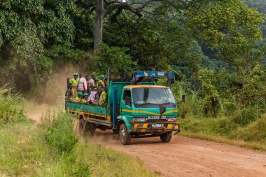 Fort PORTAL, UGANDA - 11 Mart 2020: Uganda, Fort Portal yakınlarındaki göl bölgesinde yerel işçileri taşıyan kamyon