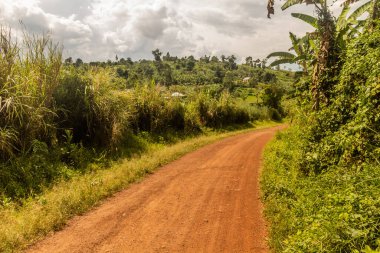 Rweetera köyü yakınlarındaki kırsal yol Fort Portal, Uganda yakınlarındaki krater gölü bölgesinde.