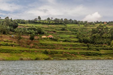 Bunyonyi Gölü kıyısında, Uganda