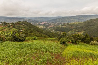Kabale, Uganda yakınlarındaki yemyeşil manzara