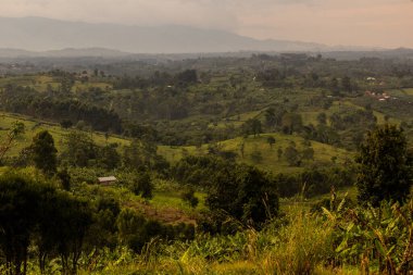 Fort Portal, Uganda yakınlarındaki krater göl bölgesinin verimli kırsal manzarası