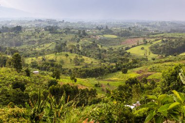 Fort Portal, Uganda yakınlarındaki krater göl bölgesinin verimli kırsal manzarası