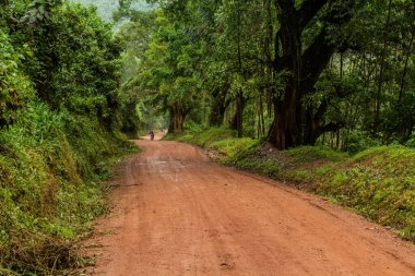 Kabale kasabası ile Bunyonyi Gölü arasındaki yol, Uganda