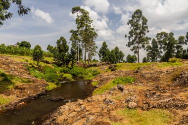 Sipi nehri, Uganda manzarası