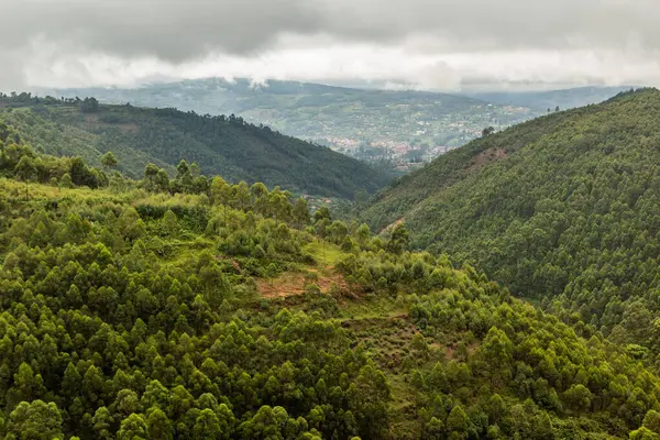 stock image Lush landscape near Bunyonyi lake, Uganda