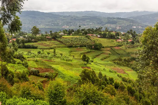 stock image Lush landscape near Kabale, Uganda