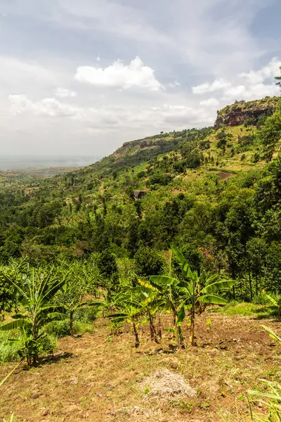 stock image Rural landscape near Sipi village, Uganda