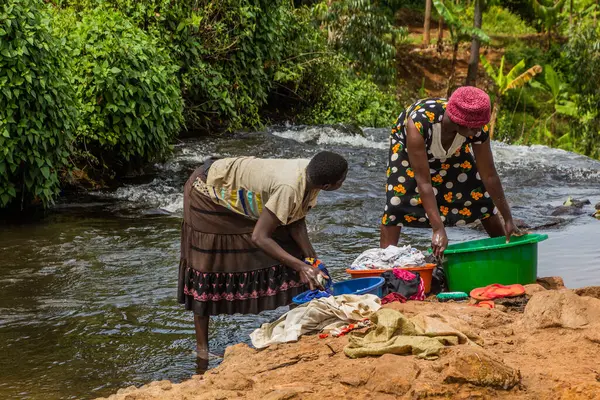 stock image SIPI, UGANDA - FEBRUARY 28, 2020: Local women doing laundry in Sipi river, Uganda