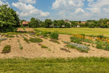 Çekoslovakya 'nın Markvartice köyündeki bir bahçe merkezinin çiçek tarlaları