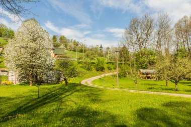 Spring view of Kuncice in Letohrad town, Czech Republic clipart