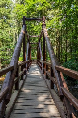 Çek Cumhuriyeti 'nin Divoka Orlice nehri üzerinde tahta köprü Paseracka lavka (Kaçakçılar' ın ayak köprüsü)