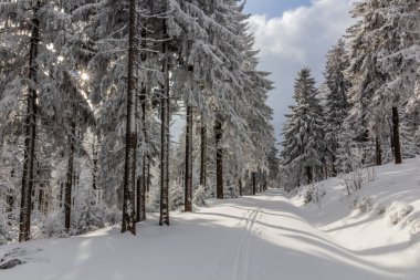 Çek Cumhuriyeti 'ndeki Orlicke Hory Dağları' nda kayak yolu.