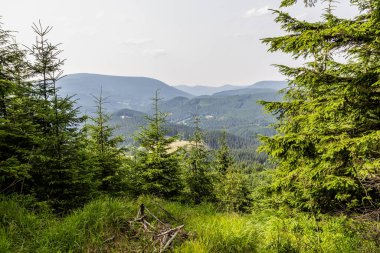 Beskydy Dağları Ormanları, Çek Cumhuriyeti