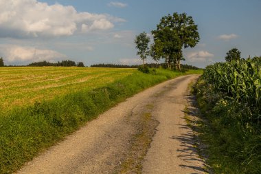 Letohrad yakınlarındaki kırsal yol, Çek Cumhuriyeti