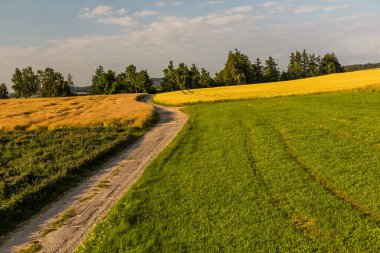 Fields near Letohrad, Czech Republic clipart