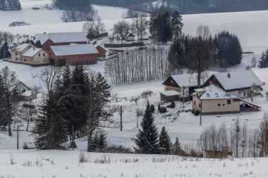 Çek Cumhuriyeti 'nin Pisecna köyünün kış manzarası
