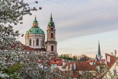 Çek Cumhuriyeti Prag 'da çiçek açan ağaçların ve Aziz Nicholas Kilisesi' nin bahar manzarası