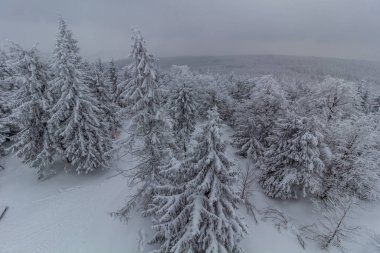 Snowy landscape of Annensky vrch mountain in Orlicke hory mountains, Czech Republic clipart