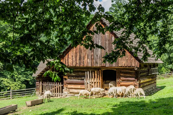 stock image Sheep barn in the open air museum (Valasske muzeum v prirode) in Roznov pod Radhostem, Czechia