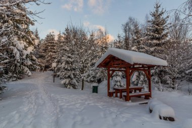 Winter view of picnic area in Prachovske skaly rocks, Czechia clipart