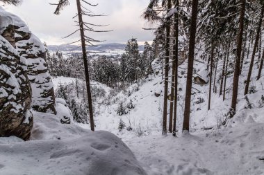 Winter view of snow covered Prachovske skaly rocks in Cesky raj (Czech Paradise) region, Czech Republic clipart