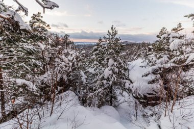 Çek Cumhuriyeti 'nin Cesky raj (Çek Cenneti) bölgesindeki kar manzaralı Prachovske skaly kayaları