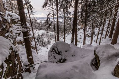 Çek Cumhuriyeti 'nin Cesky raj (Çek Cenneti) bölgesindeki kar manzaralı Prachovske skaly kayaları