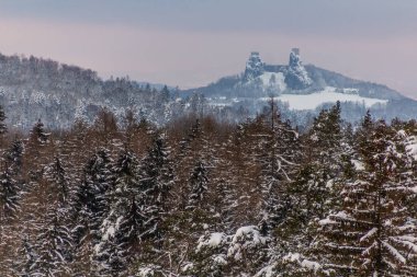 Çek Cumhuriyeti 'nin Cesky raj (Çek Cenneti) bölgesinde kış manzaralı Trosky kalesi