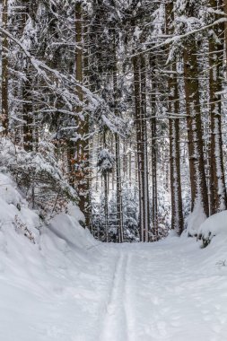 Çek Cumhuriyeti 'nin Cesky raj (Çek Cenneti) bölgesindeki Prachovske skaly kayalıklarında kış karı manzarası