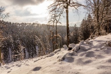 Çek Cumhuriyeti 'nin Cesky raj (Çek Cenneti) bölgesindeki Prachovske skaly kayalarının kış manzarası
