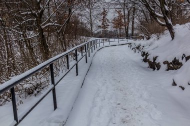 Çek Cumhuriyeti Prag 'daki Letna bahçelerinde kış manzarası