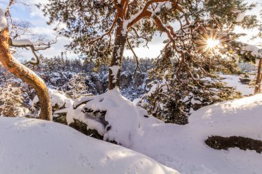 Winter view of snow covered Prachovske skaly rocks in Cesky raj (Czech Paradise) region, Czech Republic clipart