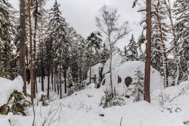 Winter view of snow covered Prachovske skaly rocks in Cesky raj (Czech Paradise) region, Czech Republic clipart