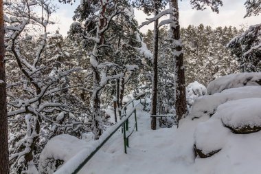 Winter snow covered landscape of a hiking trail in Prachovske skaly rocks in Cesky raj (Czech Paradise) area, Czech Republic clipart