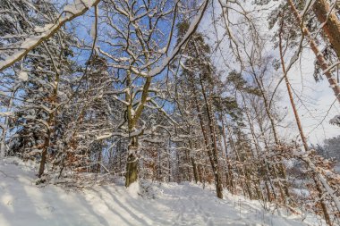 Çek Cumhuriyeti 'nin Cesky raj (Çek Cenneti) bölgesindeki Prachovske skaly kayalıklarında kış manzarası