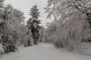 Çek Cumhuriyeti 'nin Bukova Hora Dağı' nda kayak pisti