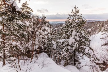 Çek Cumhuriyeti 'nin Cesky raj (Çek Cenneti) bölgesindeki kar manzaralı Prachovske skaly kayaları