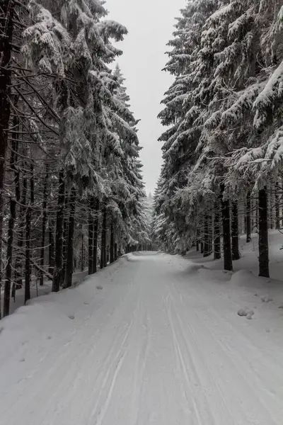 stock image Cross country ski trail at Suchy vrch mountain, Czech Republic