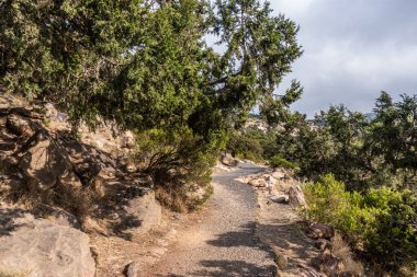 Suudi Arabistan 'daki Jabal Sawda Dağı yakınlarında yürüyüş yolu.