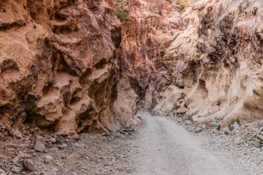 Wadi Lajab geçidinde yol, Suudi Arabistan