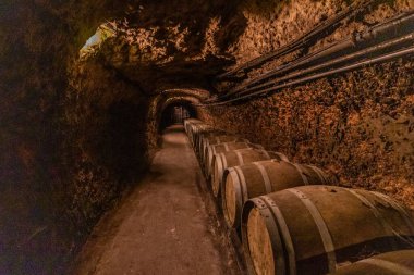 KSARA, LEBANON - 25 JULY, 2022: Interior of Chateau Ksara winery Roman era cellars. clipart