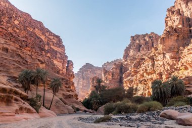 Wadi Disah Kanyonu manzarası, Suudi Arabistan