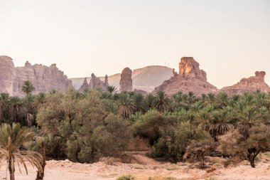Al Ula yakınlarındaki kırsal alan, Suudi Arabistan