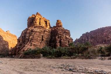 Wadi Disah Kanyonu manzarası, Suudi Arabistan