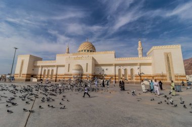 MEDINA, SAUDI ARABIA - NOVEMBER 12, 2021: Pigeons in front of the Masjid al-Shuhada mosque under Uhud mountain in Medina, Saudi Arabia clipart