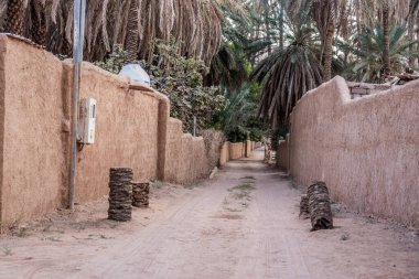 El Ula, Suudi Arabistan yakınlarındaki palmiye ağaçlarında yol