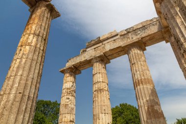 Yunanistan 'ın Mora yarımadasındaki antik Nemea' daki Zeus Tapınağı harabeleri